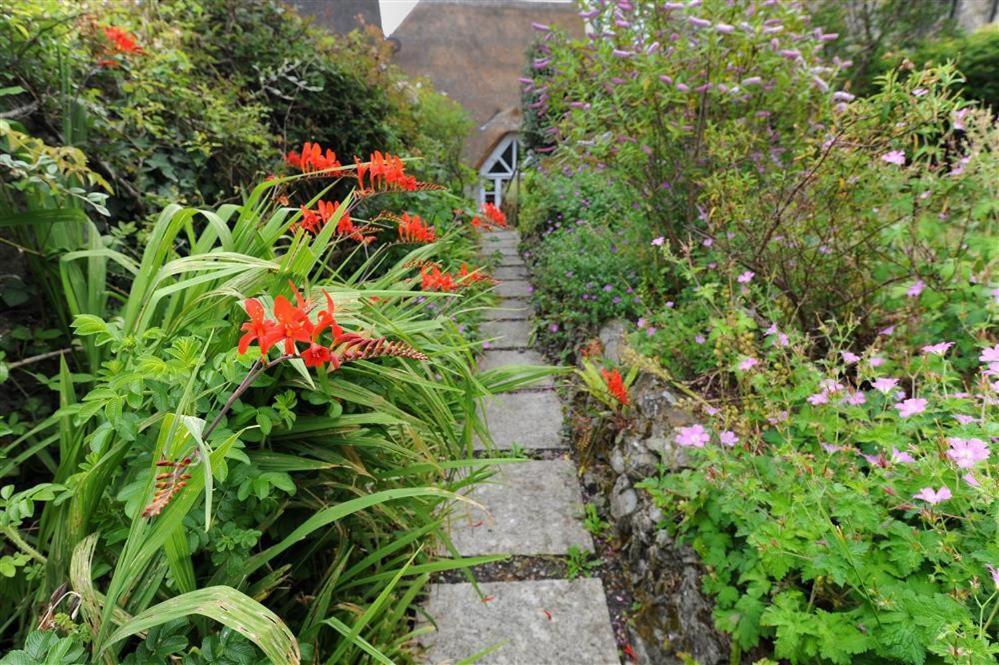 The Nest Villa Lyme Regis Exteriör bild